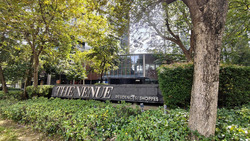 The Venue Shoppes (D13), Retail #539169991